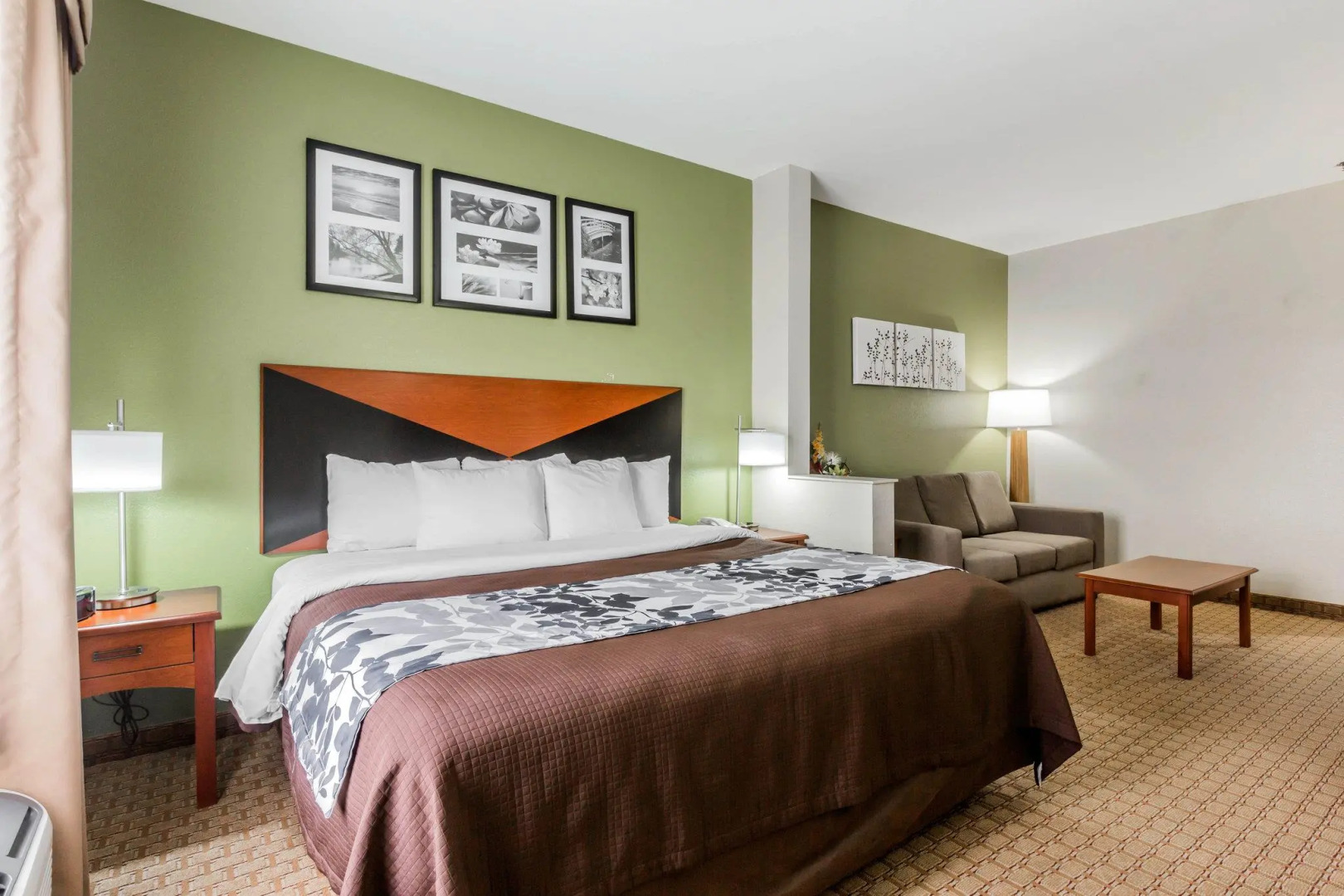 Sleep Inn & Suites Millbrook - Prattville