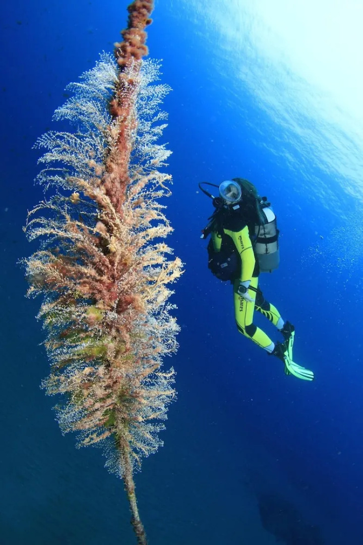 Apartment With 2 Bedrooms in Gáldar, With Wonderful sea View, Terrace