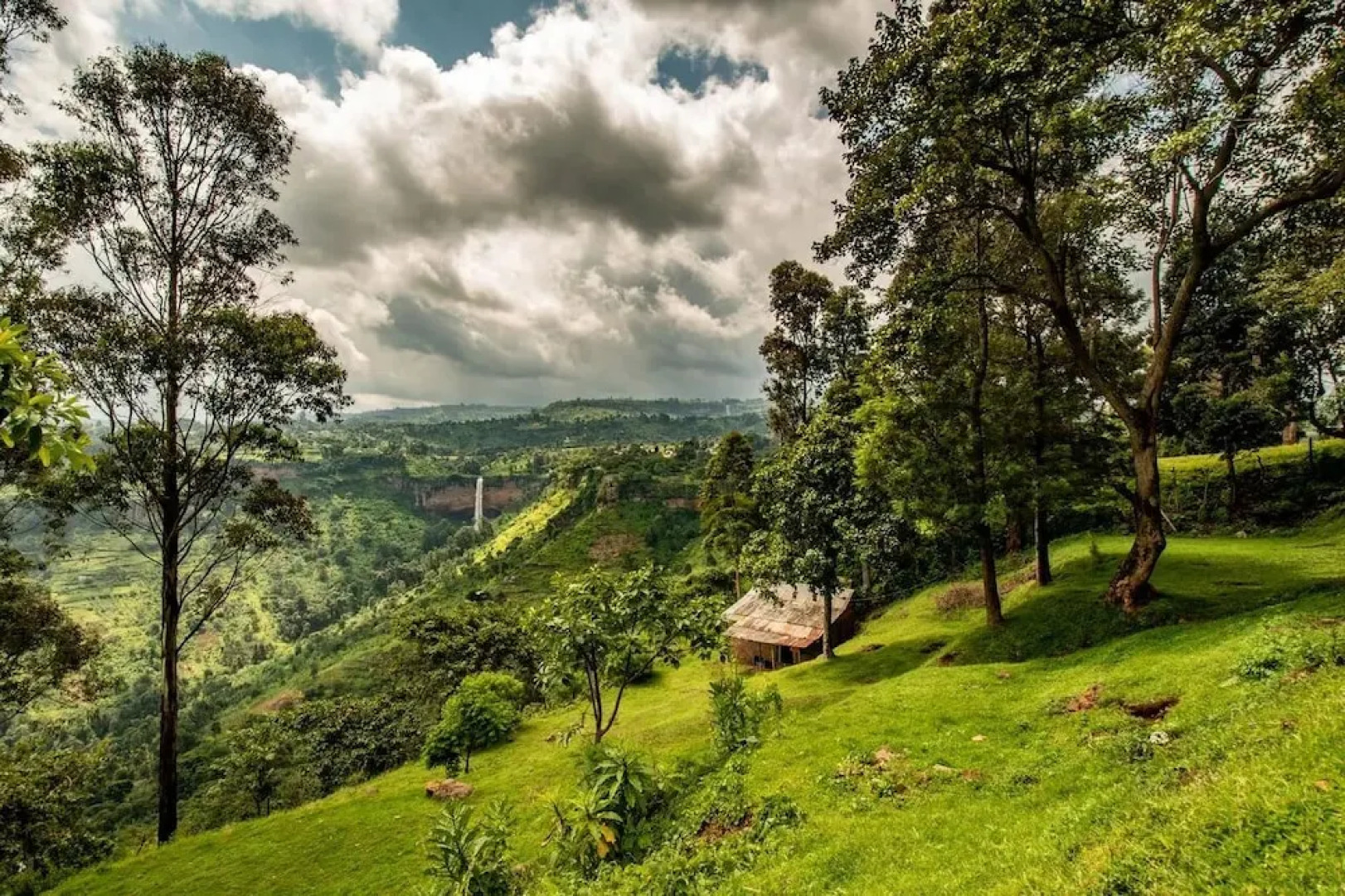 The Crows Nest - Sipi Falls