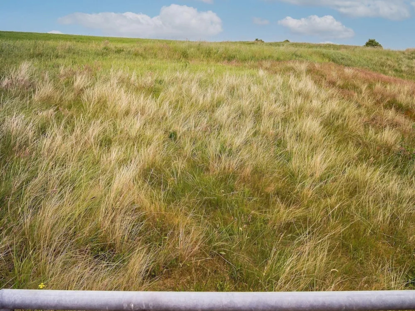 Sprawling Holiday Home in Hanstholm With Whirlpool