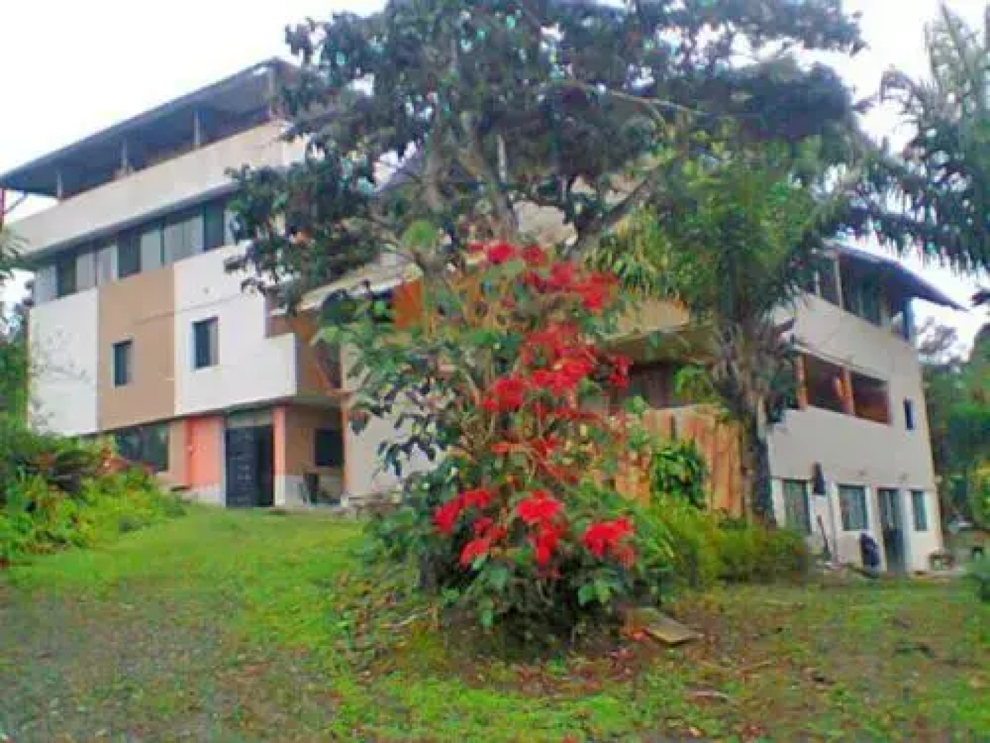 Pacto Retreat Hostel