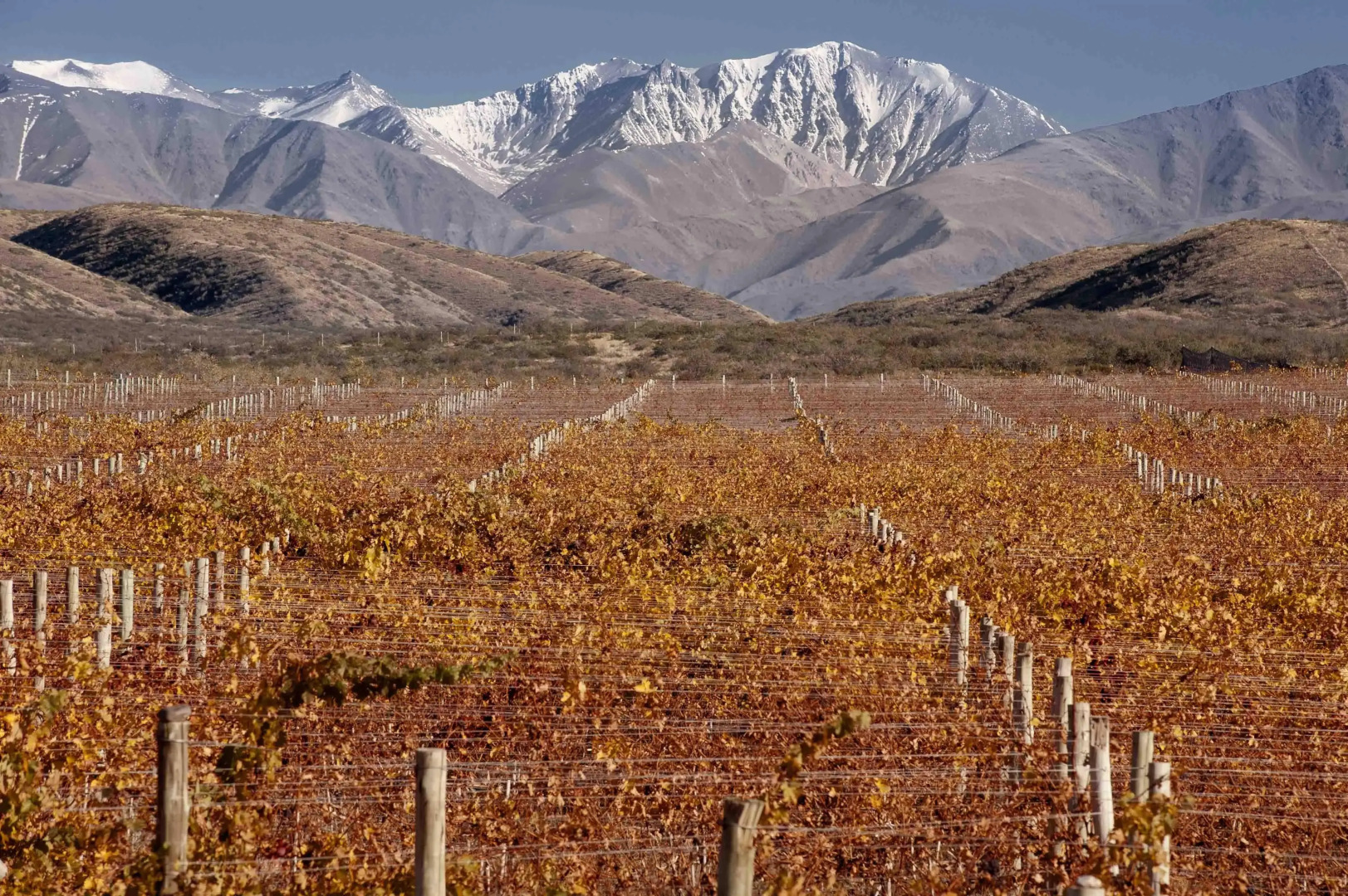 Auberge du Vin, a Tribute Portfolio Hotel, Tupungato
