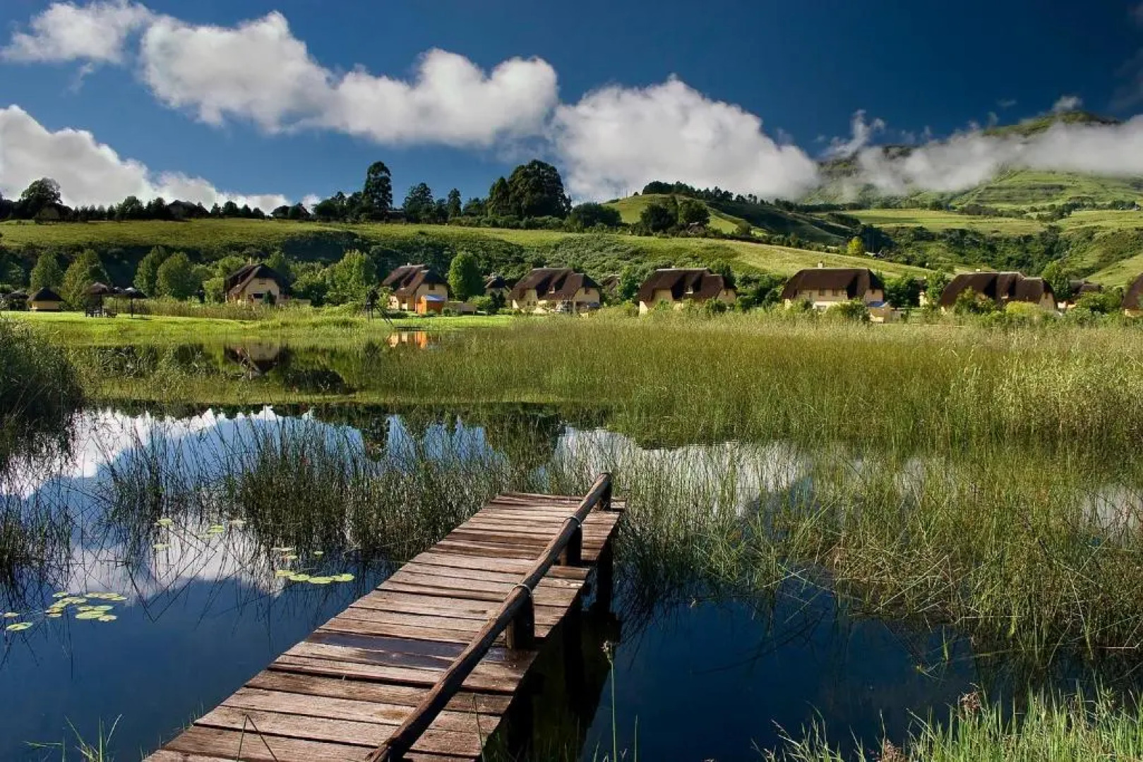 Monte Video-Deo Gloria