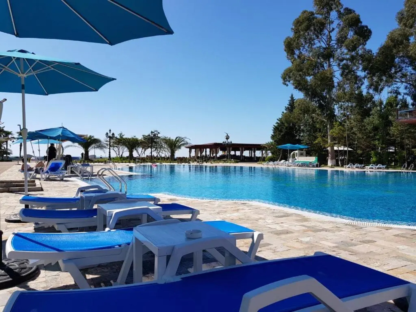 Luxury Oasis Apartment