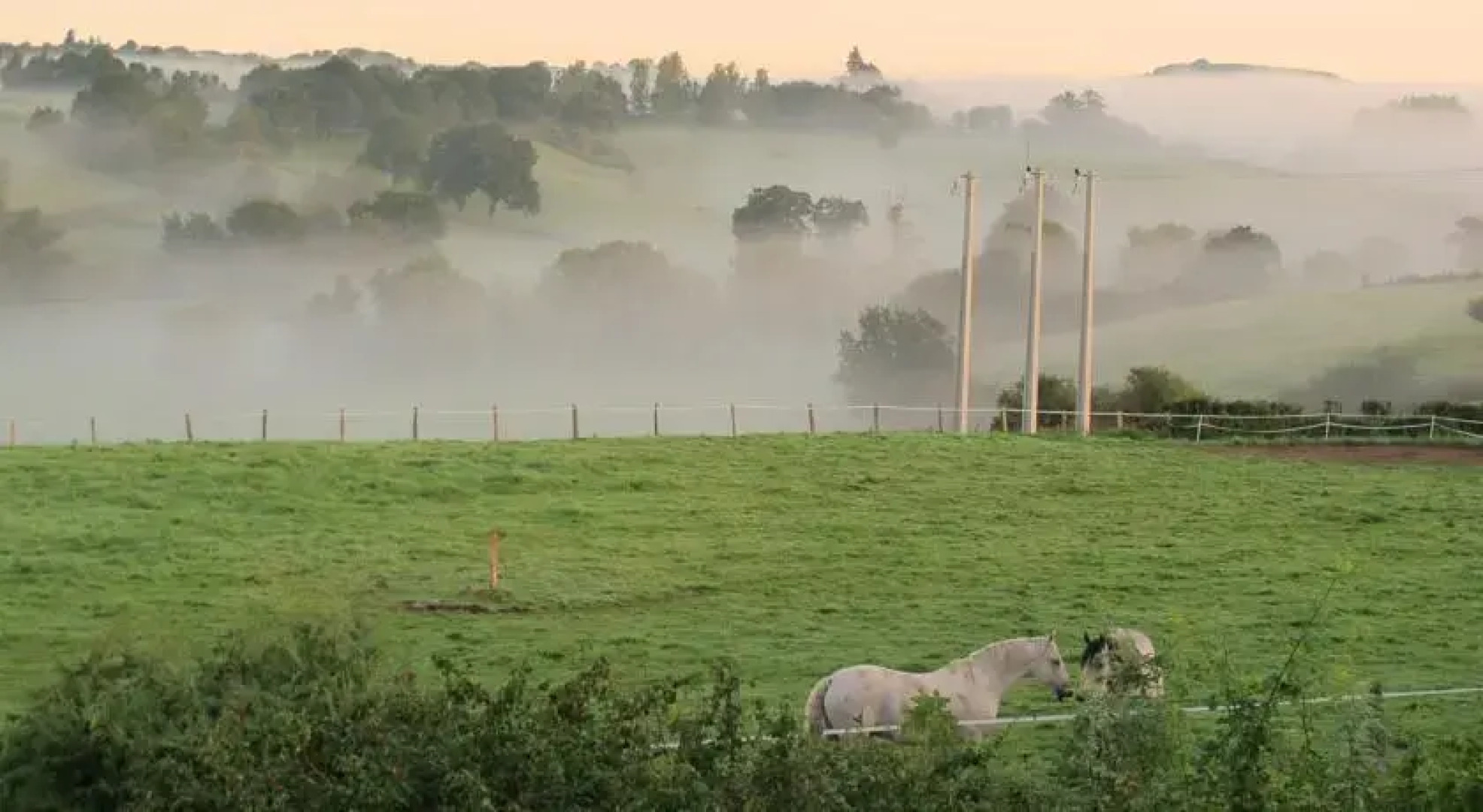 Gîte- Le Temps du Bonheur