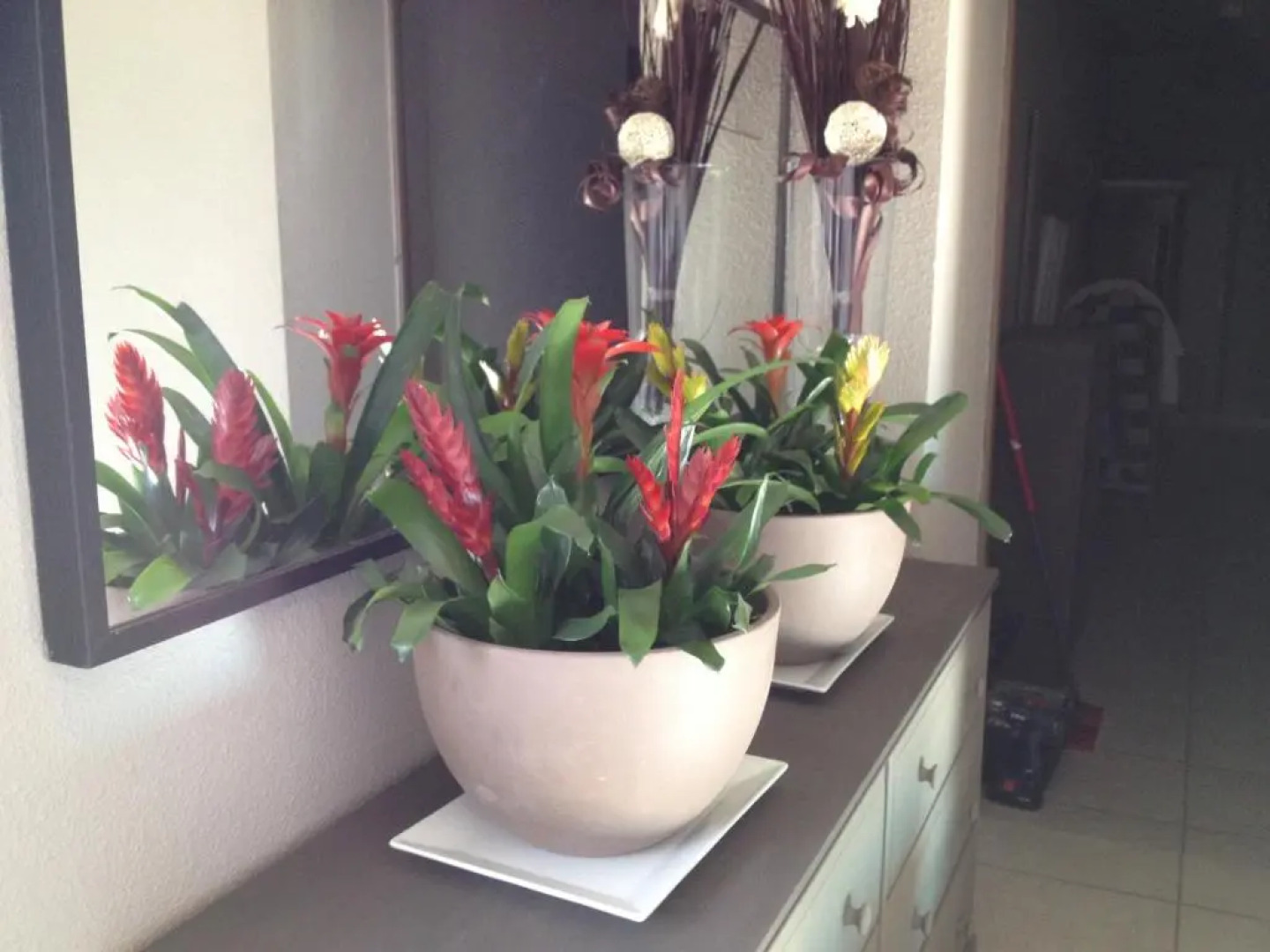 Hôtel les Magnanarelles