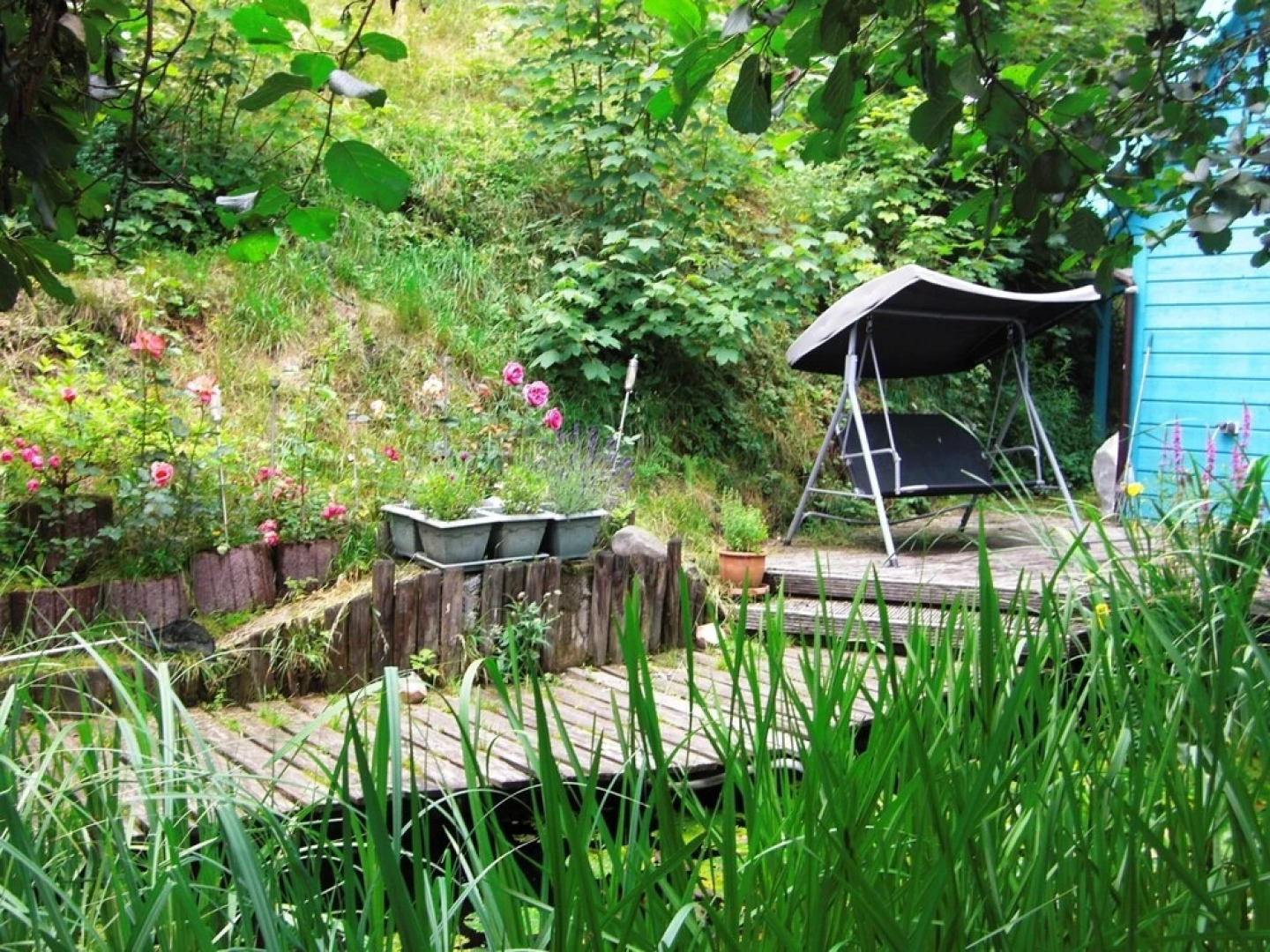 Elite Holiday Home with Pool in Sankt Andreasberg