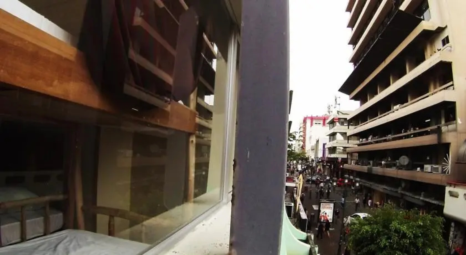 Golden Frog Hostel