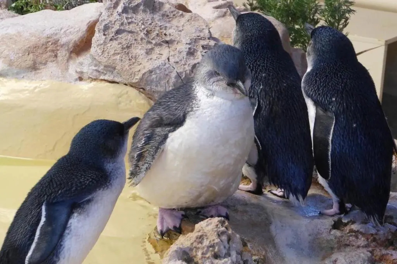 Ocean Vista Beach Stay