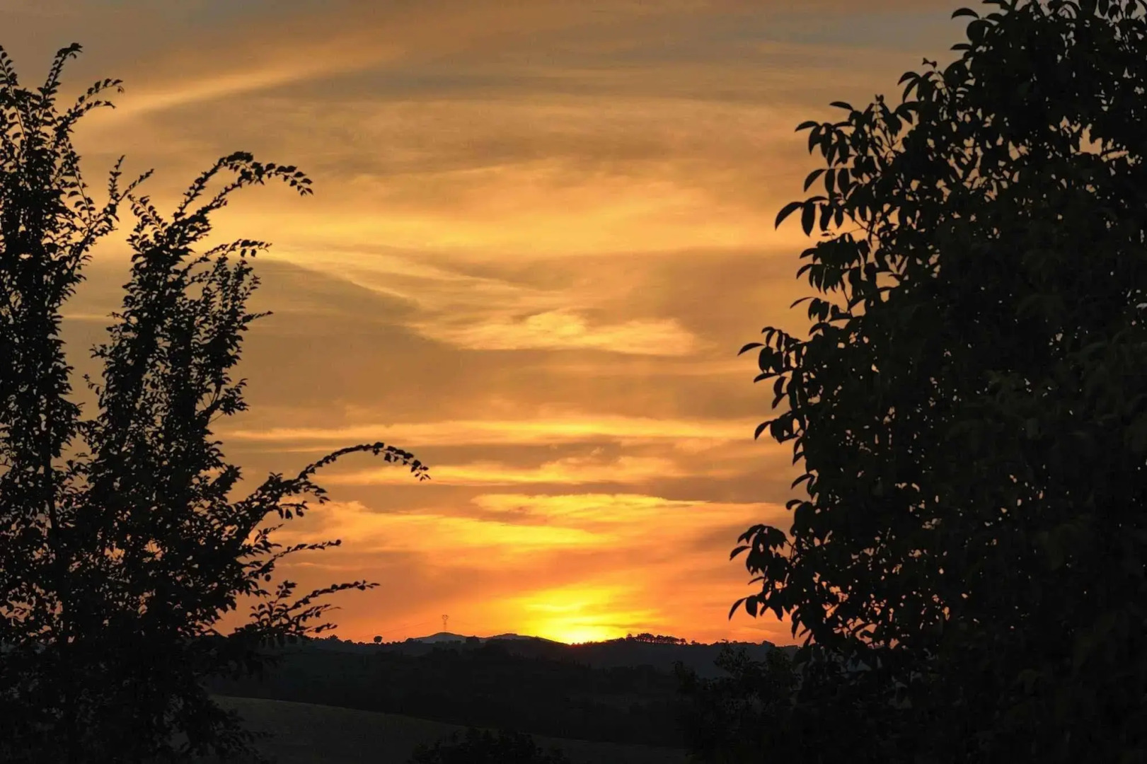 Tenuta Marchesi Fezia