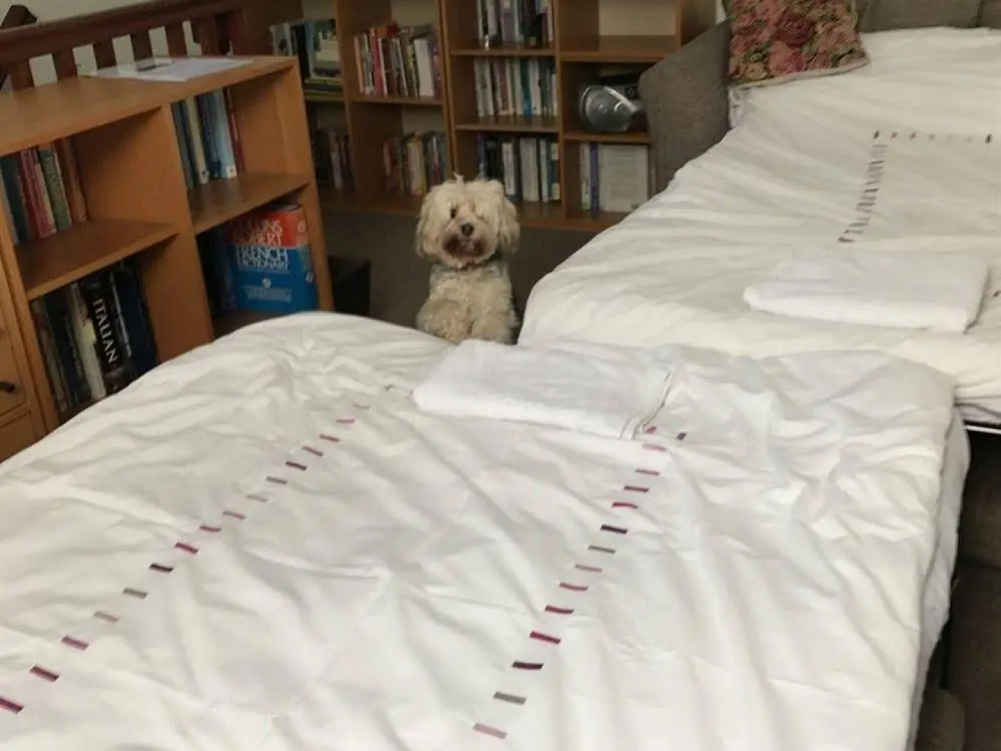 The Loft Apartment at Piggotts Hall