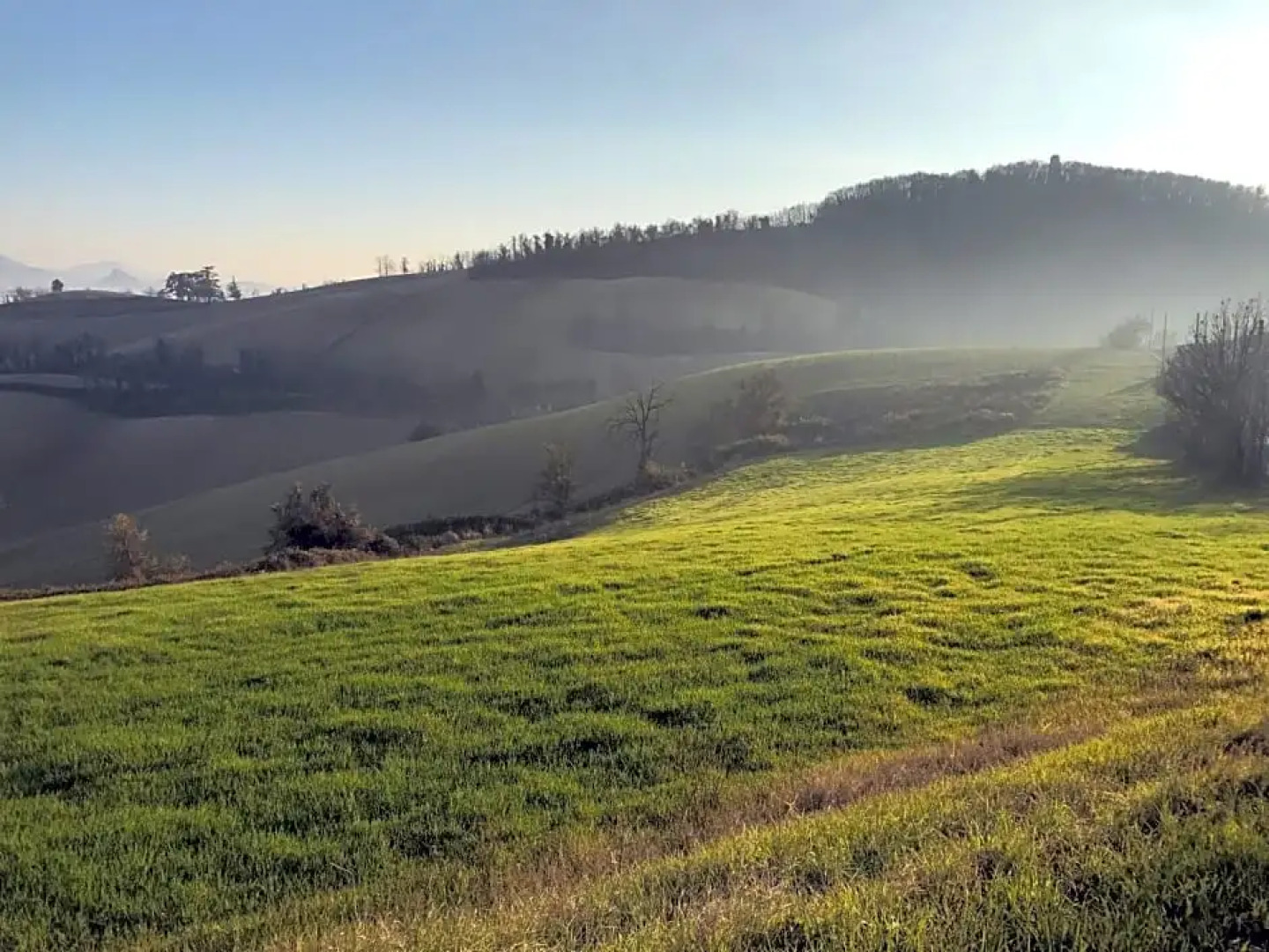 Oinoe La Città del Vino