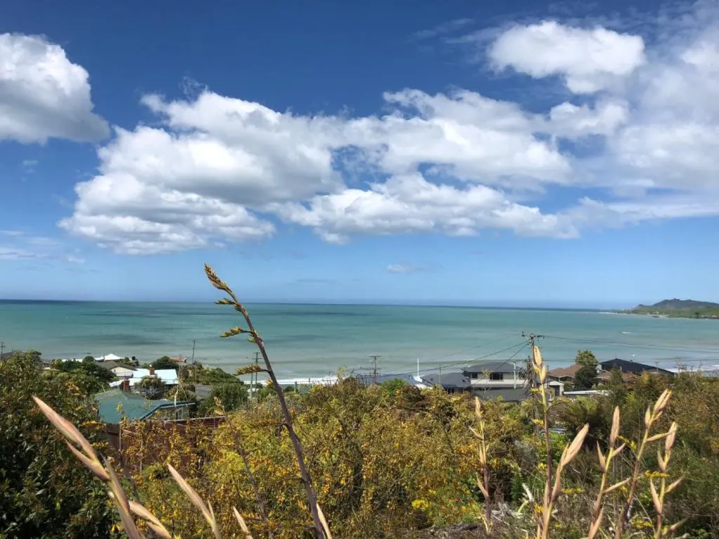 The Kaka Point Motels