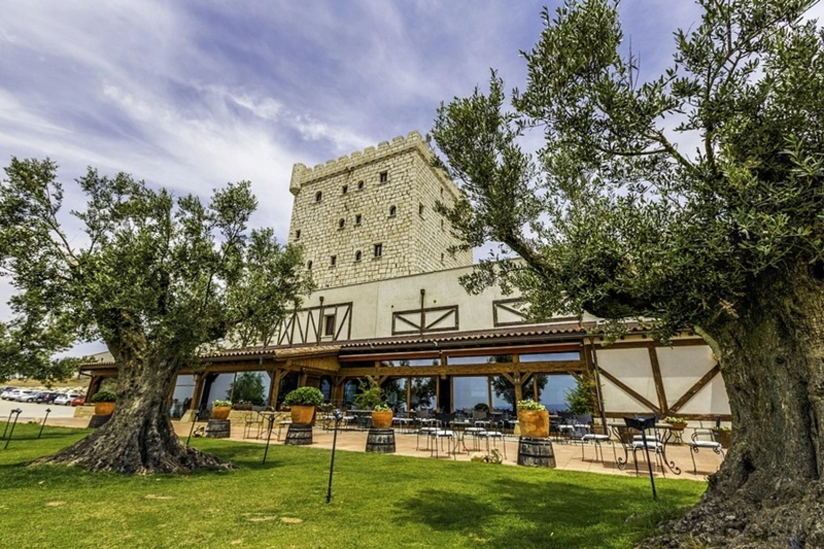 Chateau Pago De Cirsus