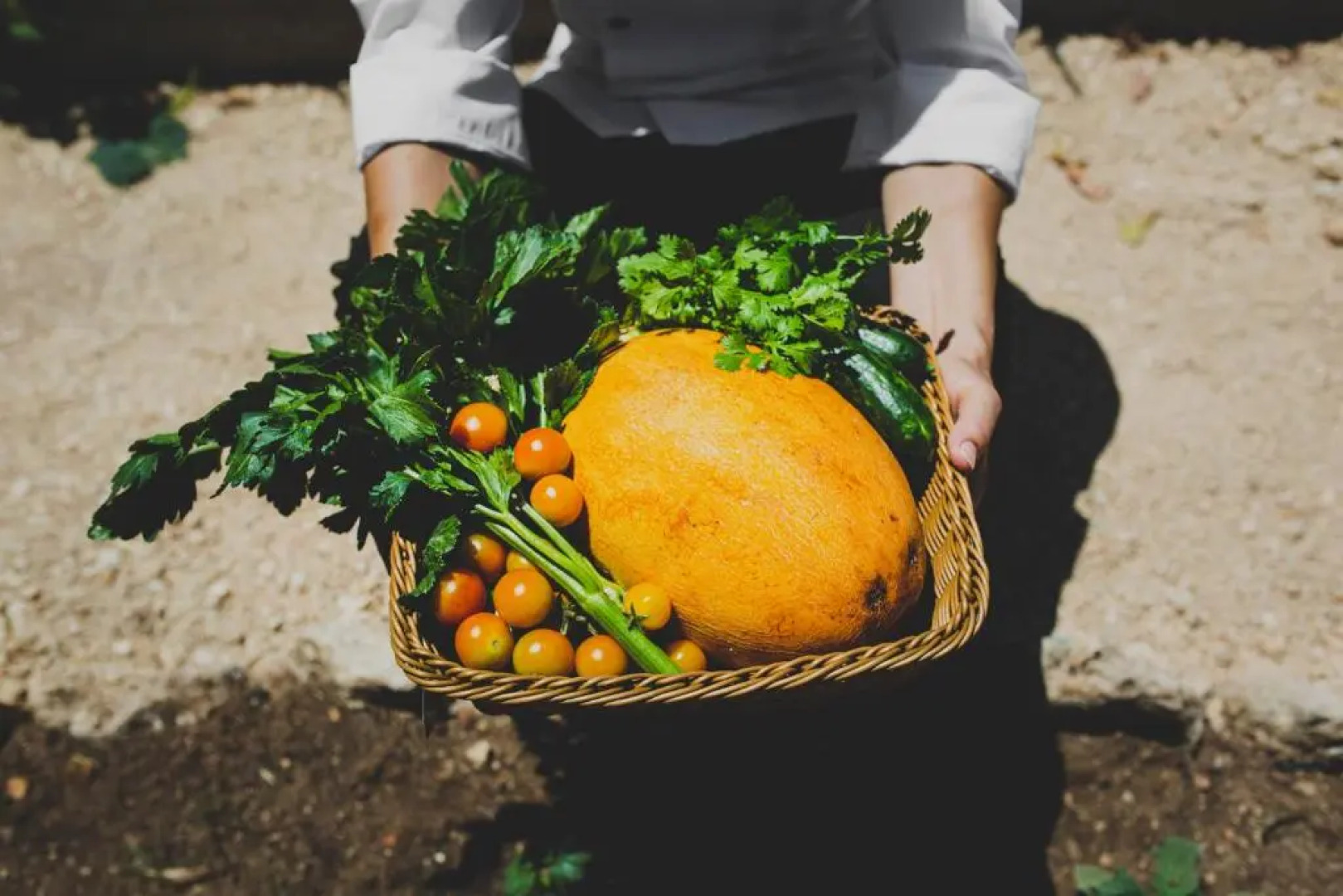 Latchi Escape Hotel & Suites