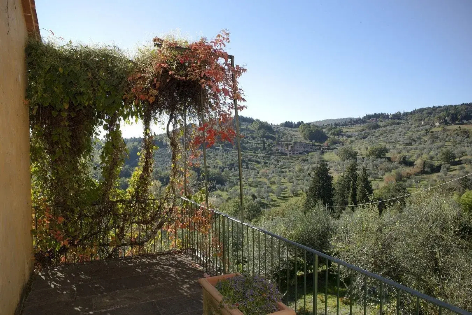 Villa di Campolungo Agriturismo