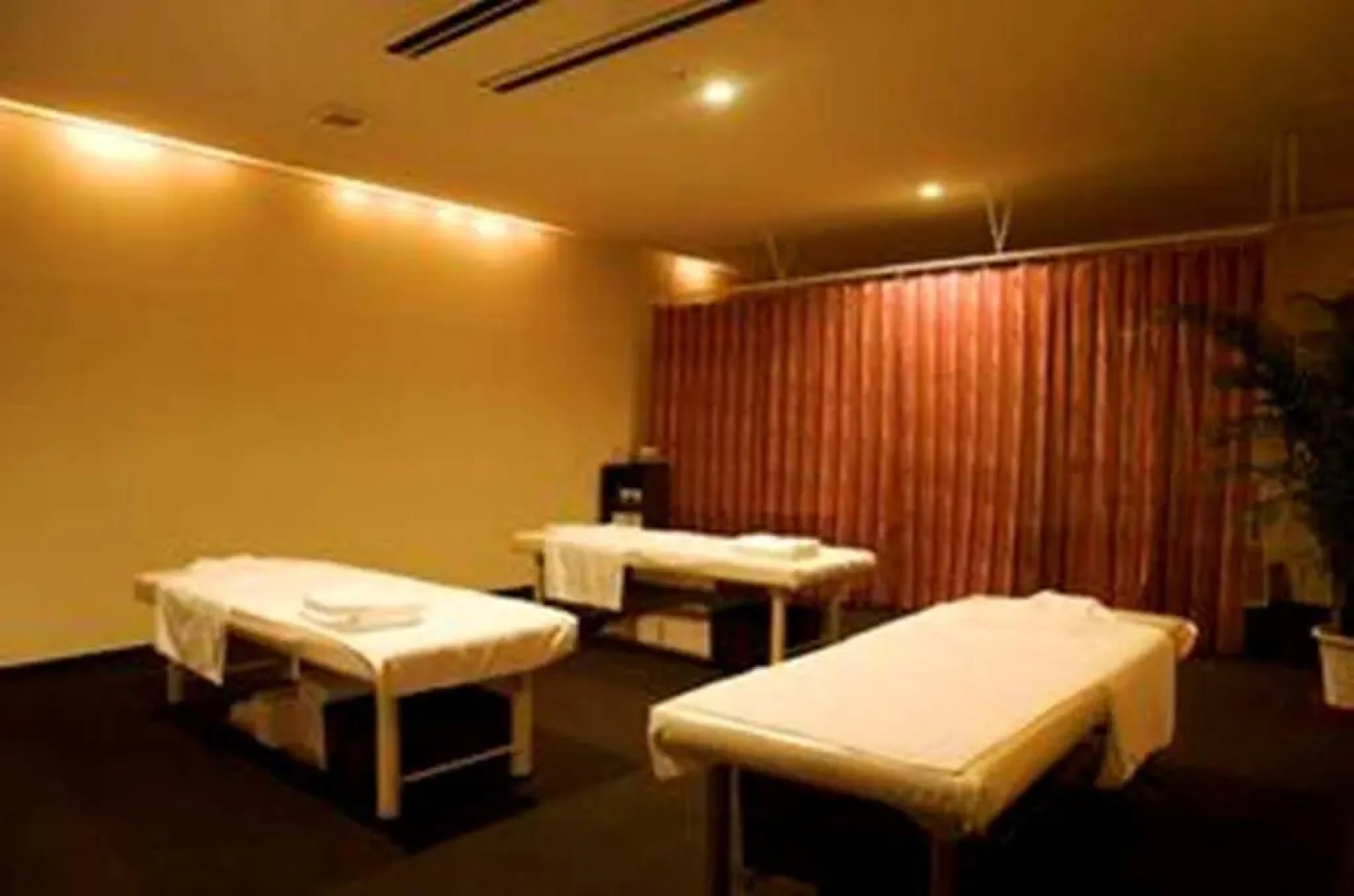 Spa Hotel SOLE Susukino