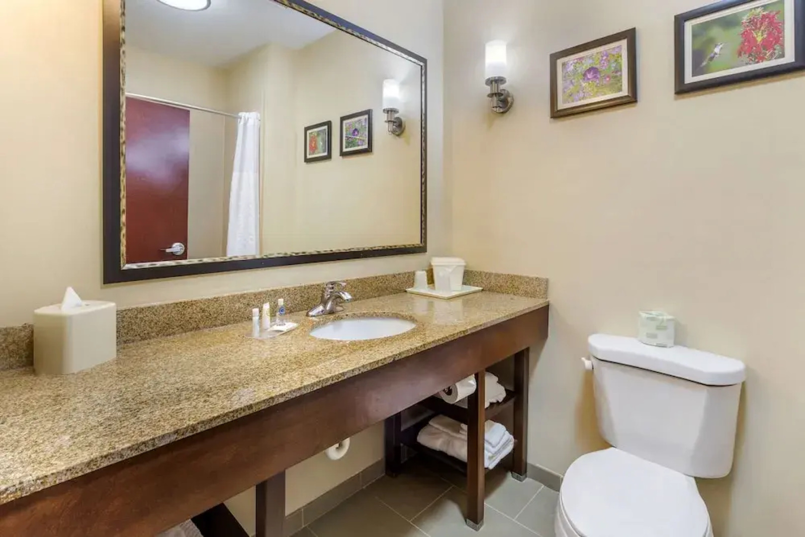 Comfort Suites Wilson