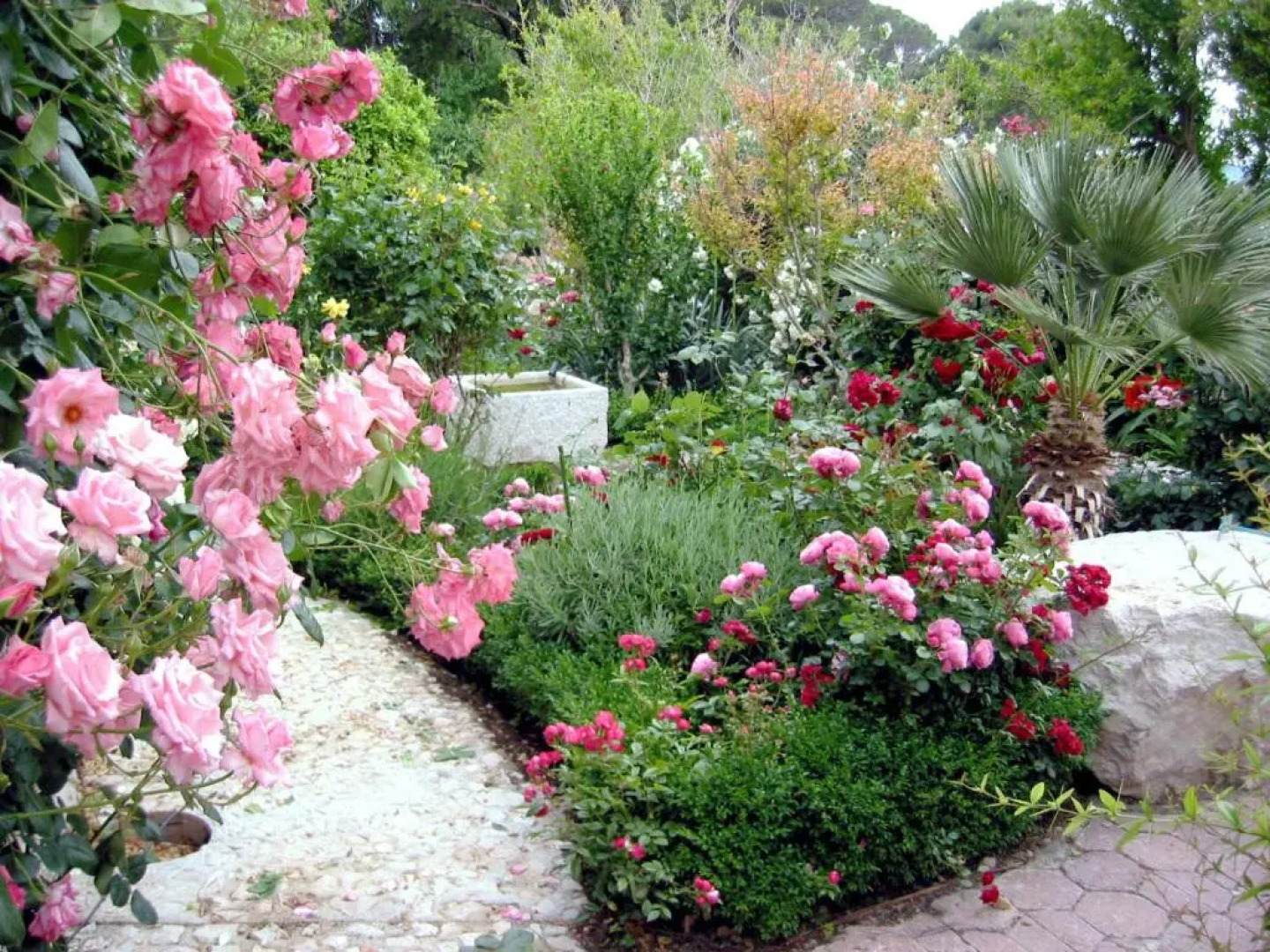 Grand View Apartments