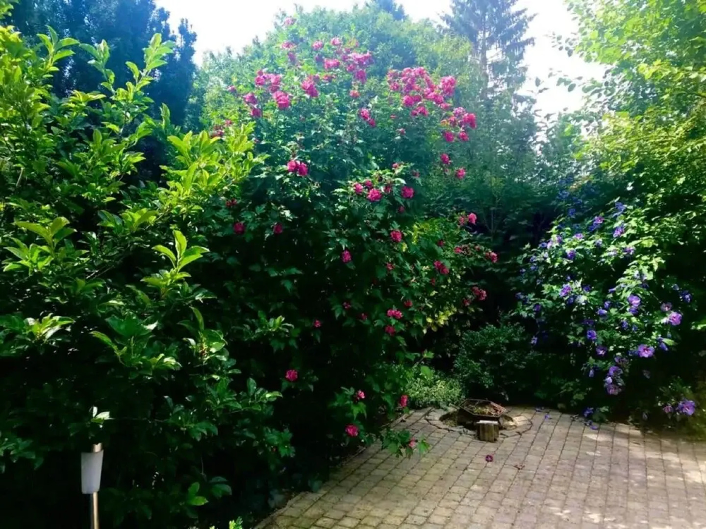 Chalet in Veluwe Near De Grote Ark