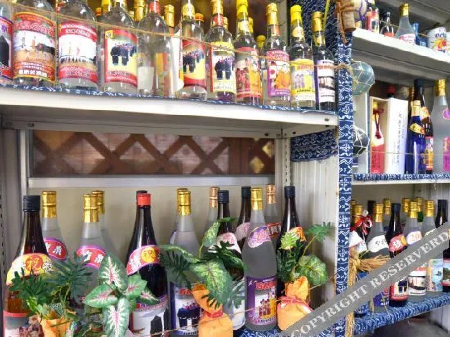 Iriomote Island Hotel