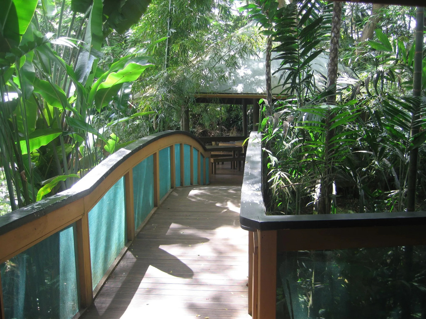Rainforest Eco Lodge