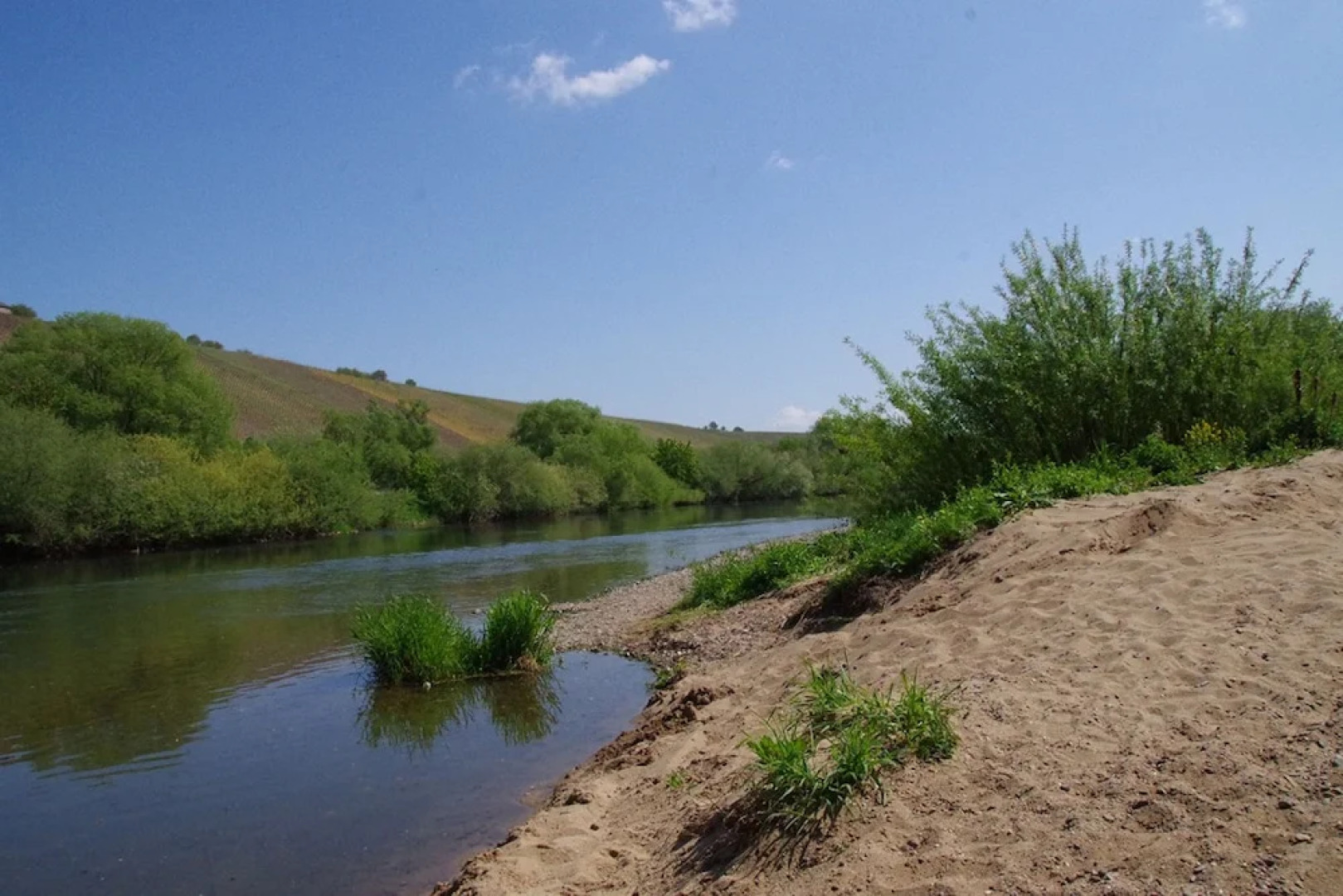 Weingut & Ferienwohnungen Kirch
