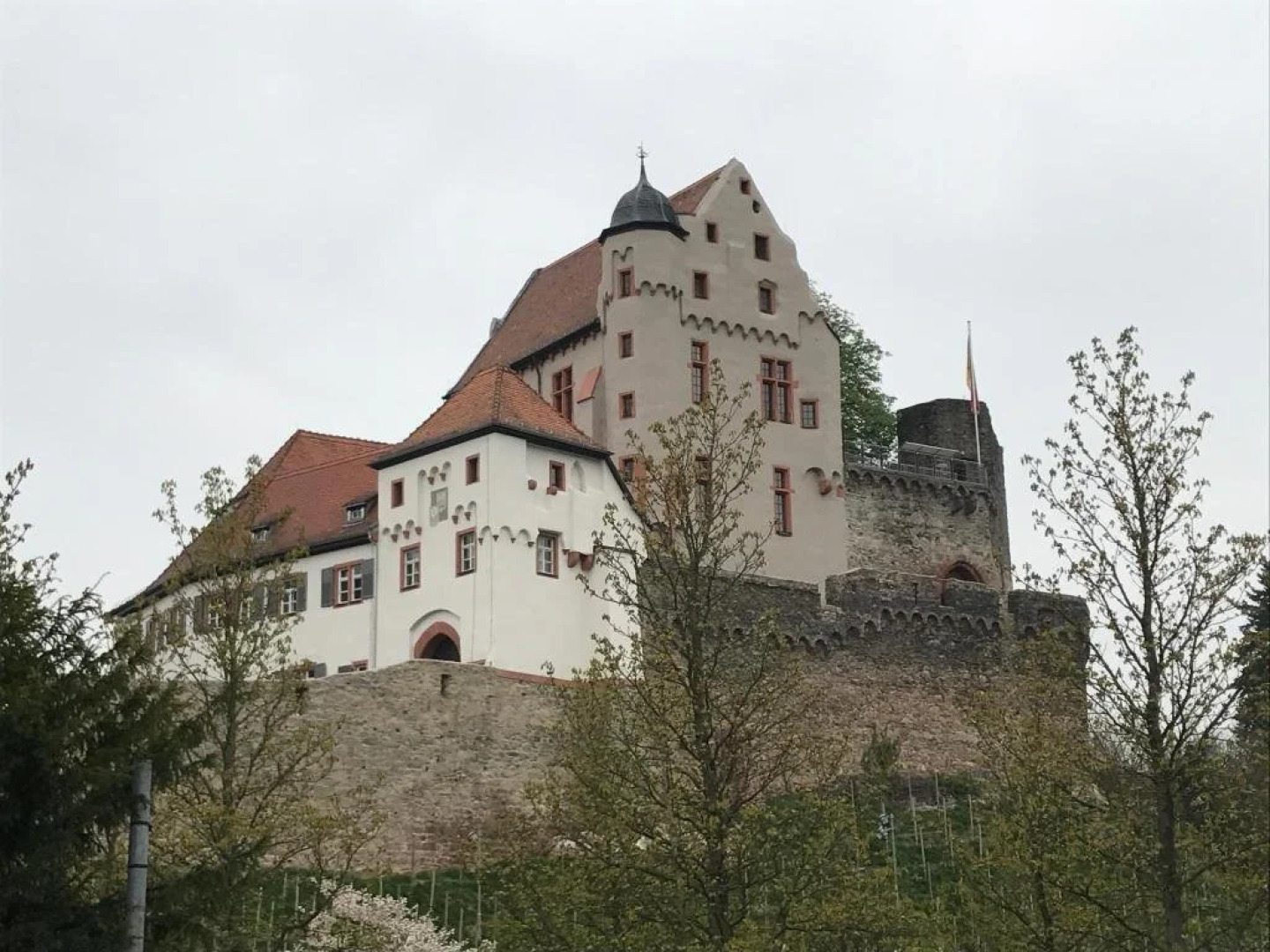 Panorama Hotel & Restaurant Schloßberg