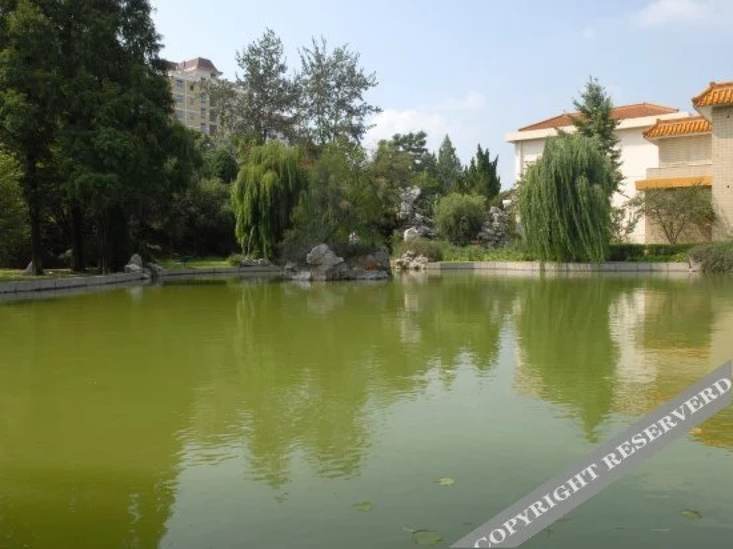 Puyang Hotel