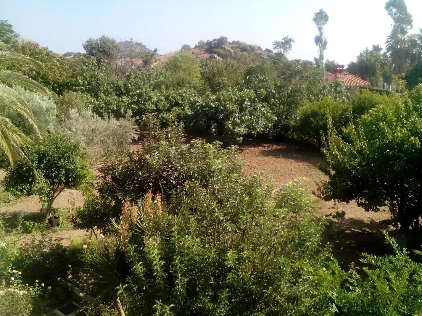 Guesthouse Karidia