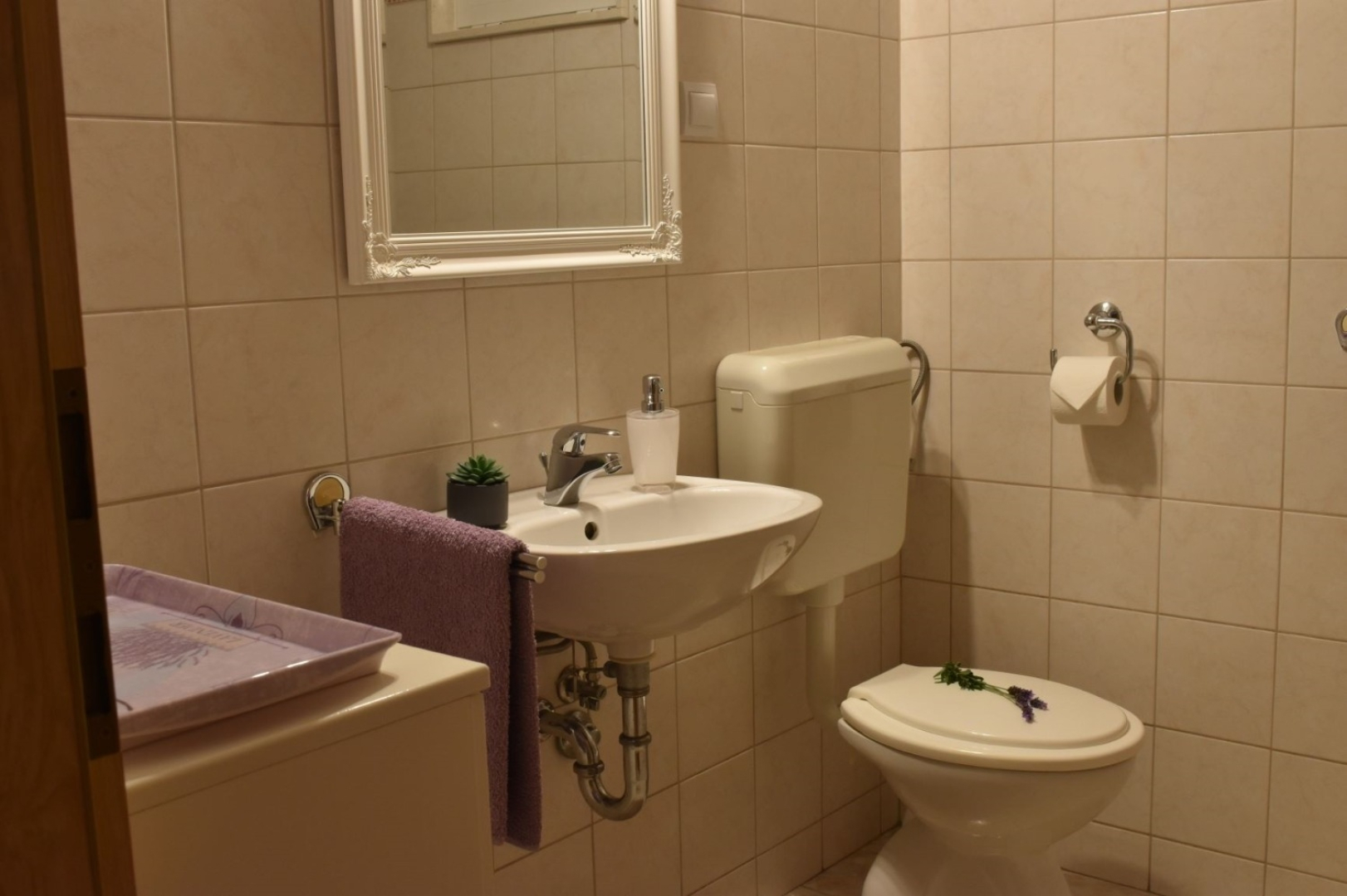 Apartment Frama - 3 apartments: A3 Lavanda  Bol, Island Brac