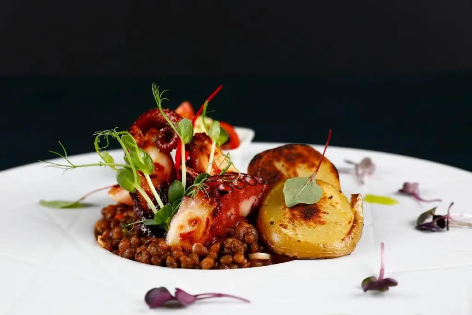 Forest Retreat & Spa