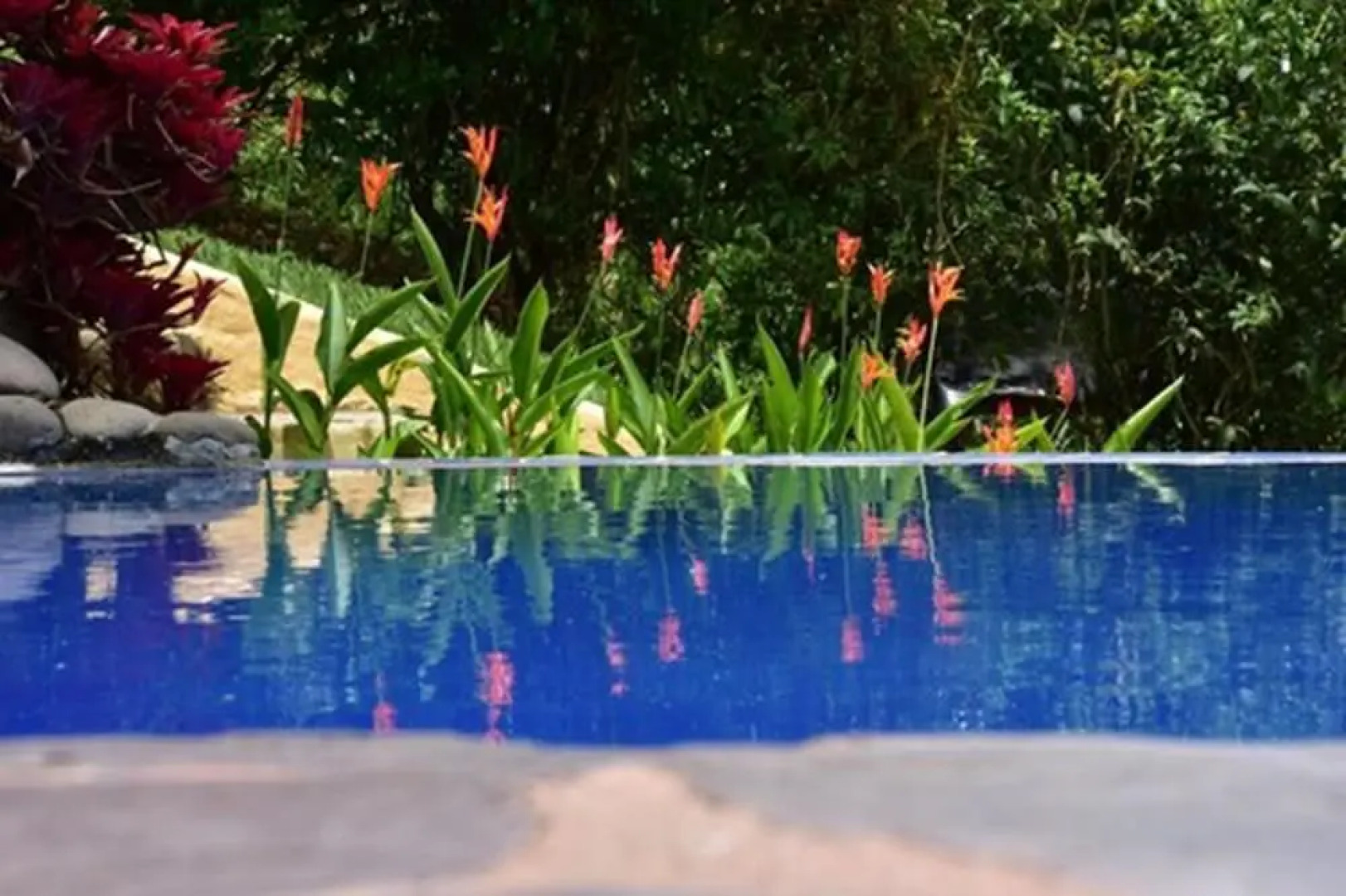 Hotel Boutique La Casa Que Canta