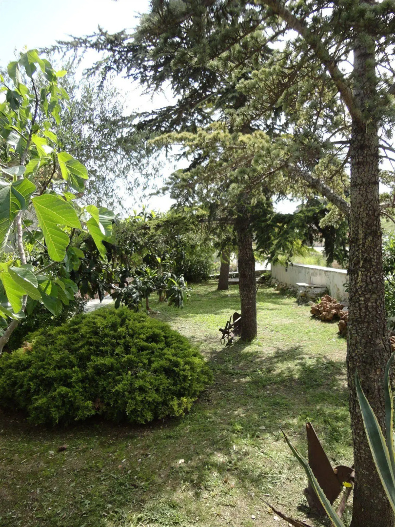 Residence Palomba