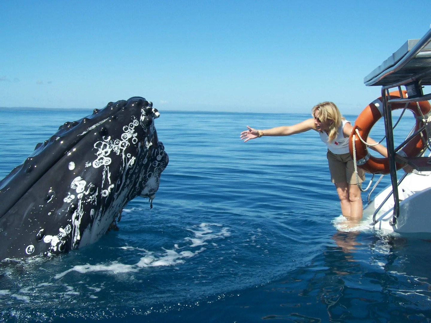 Kingfisher Bay Resort