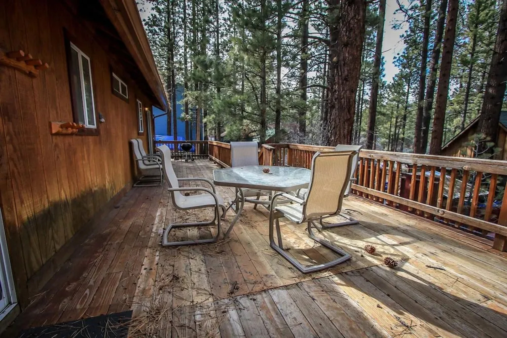 Sugar Pine 1182 by RedAwning