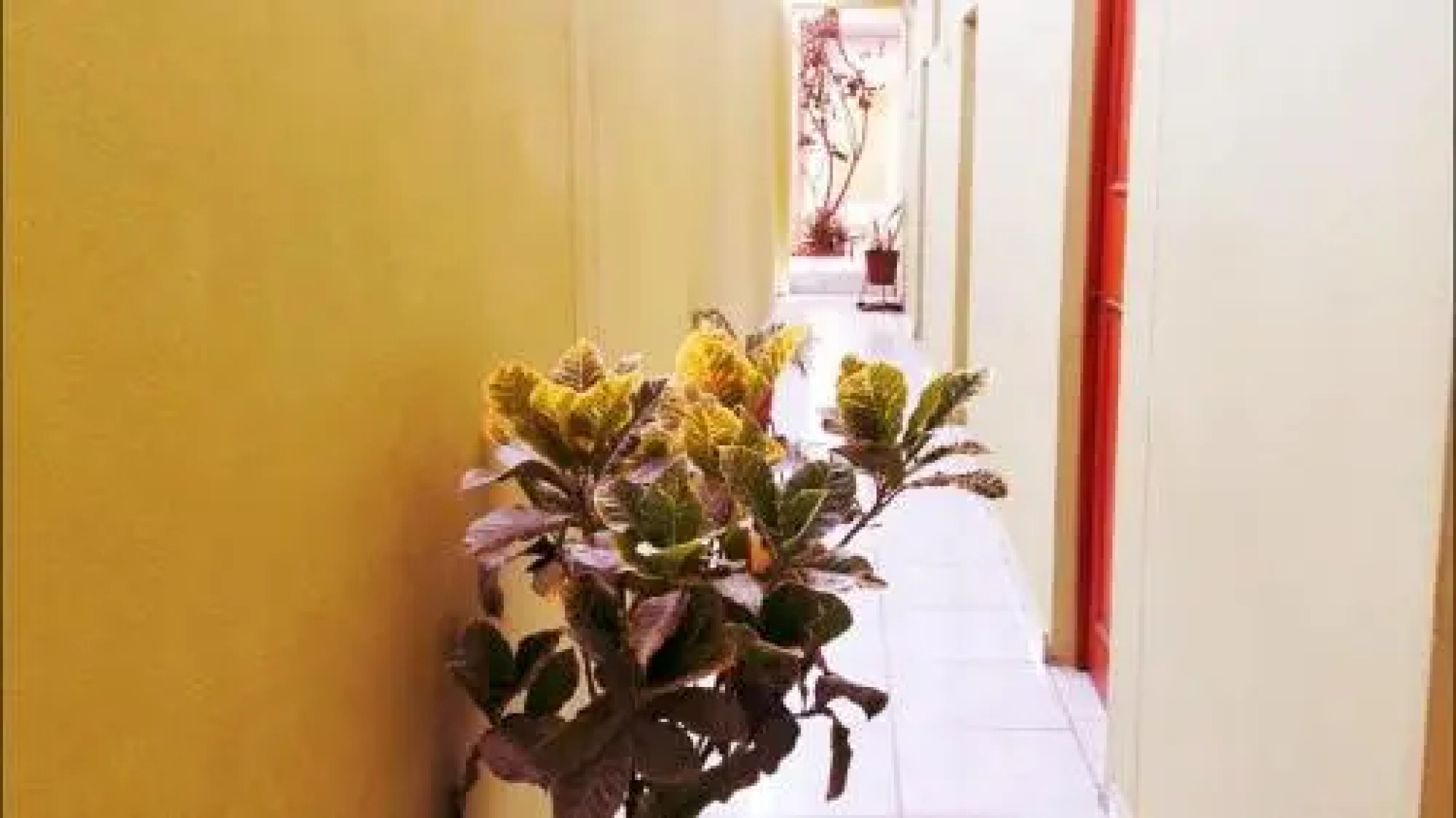 Hospedaje San Joaquin