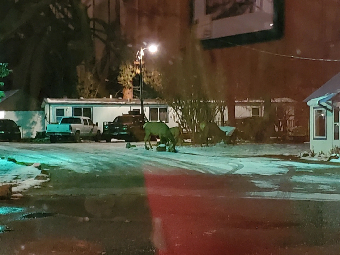 Little River Motel St  Regis