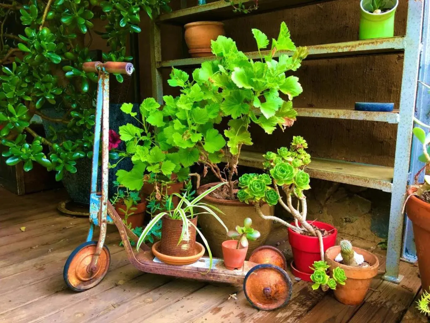 Sutton Spring Art Retreats