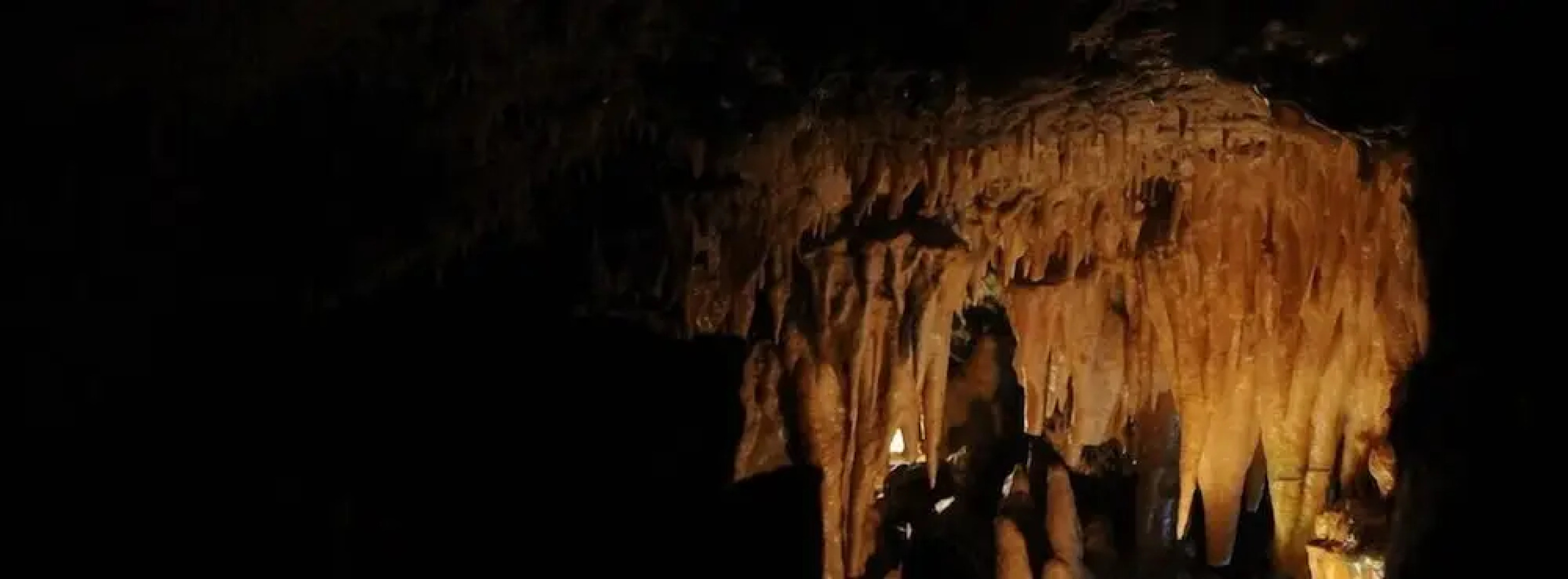 Domaine de Calbiac - On the boardwalk