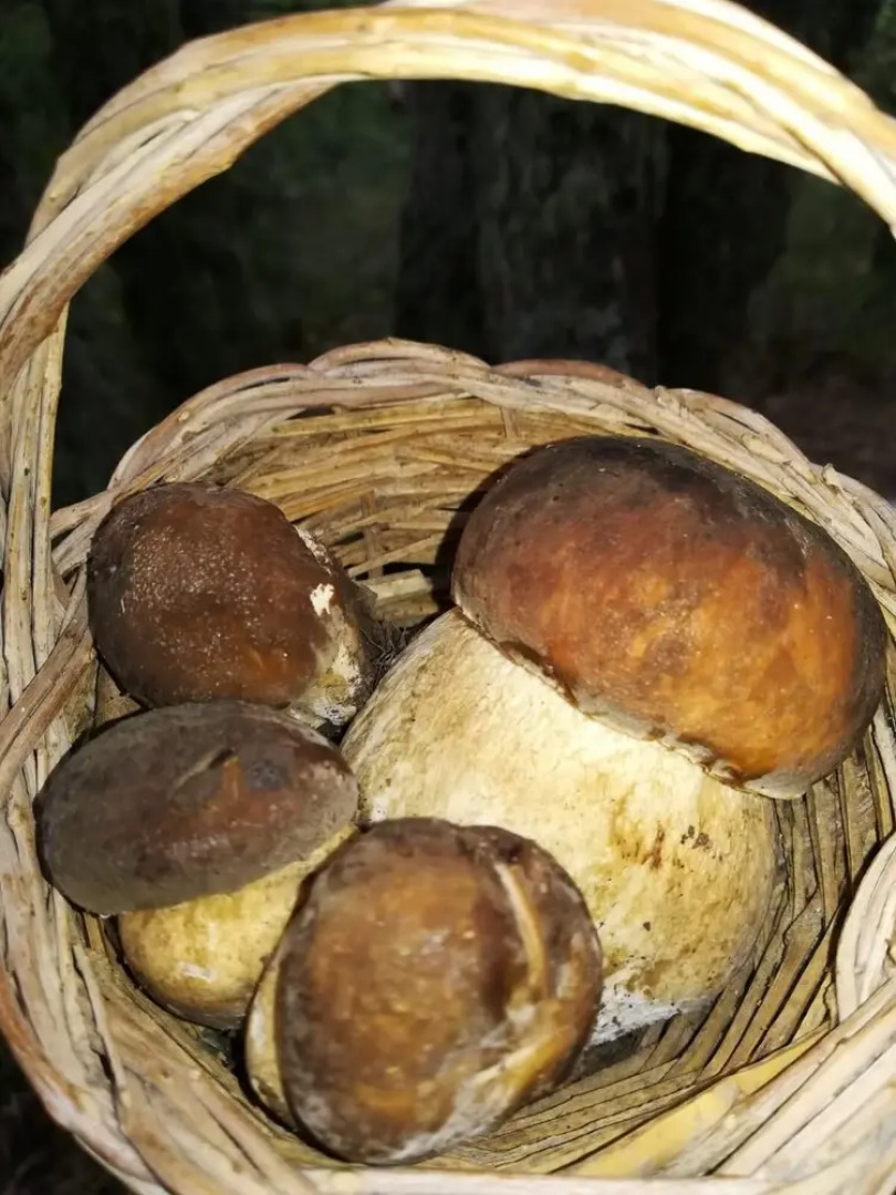 Agriturismo La Vedetta dei Nebrodi