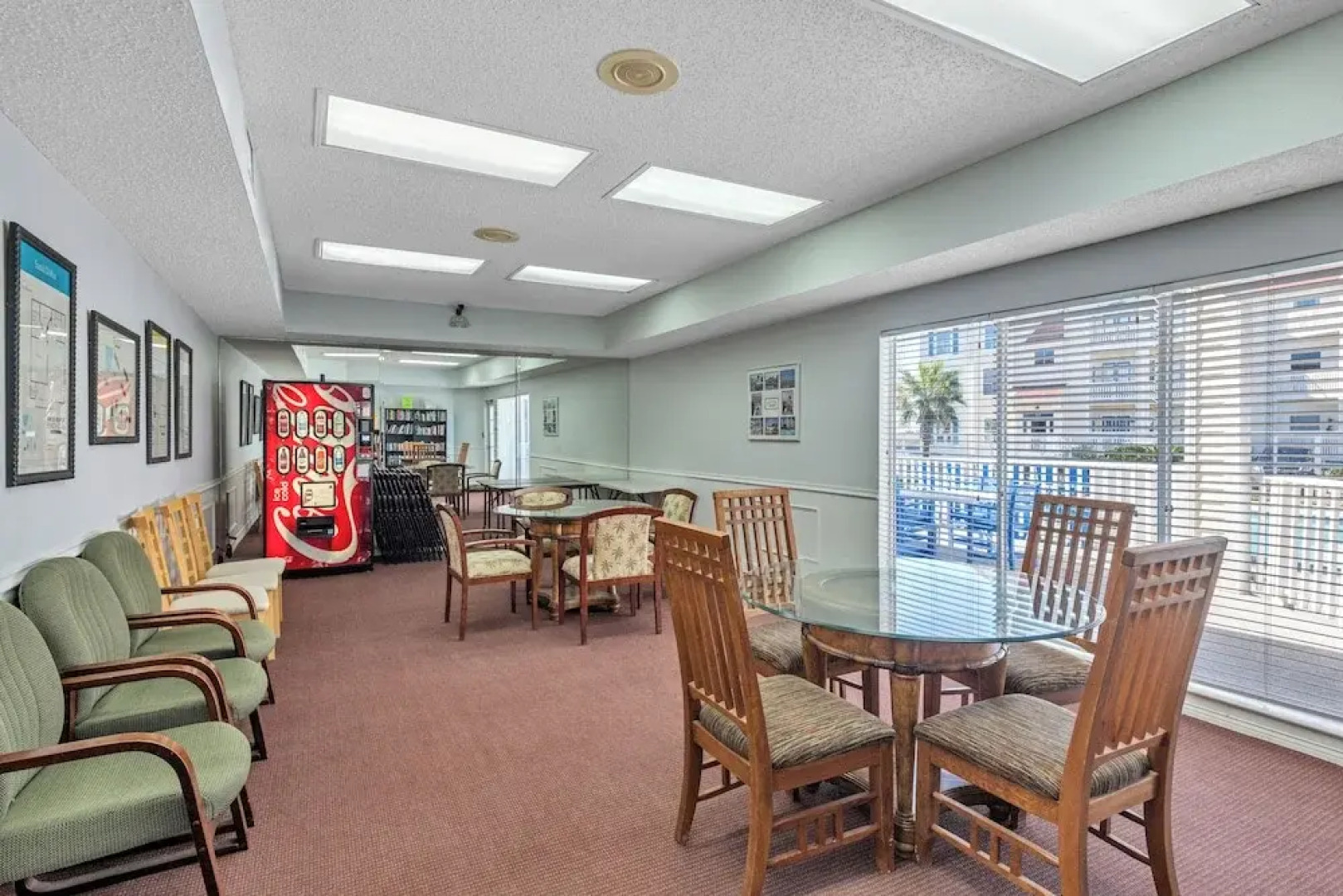 Npi146-the Lazy Turtle