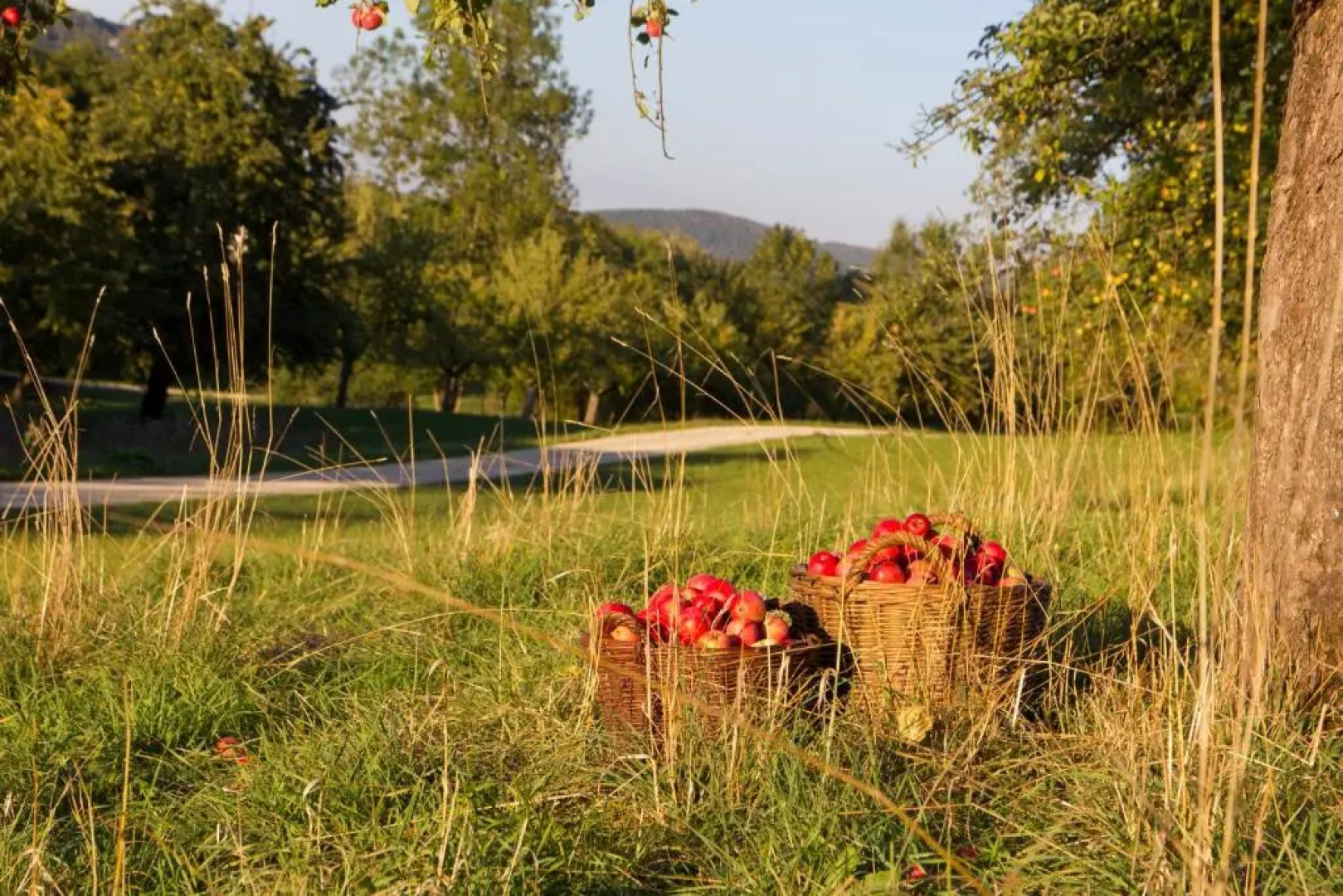 Gasthof Restaurant Hirsch