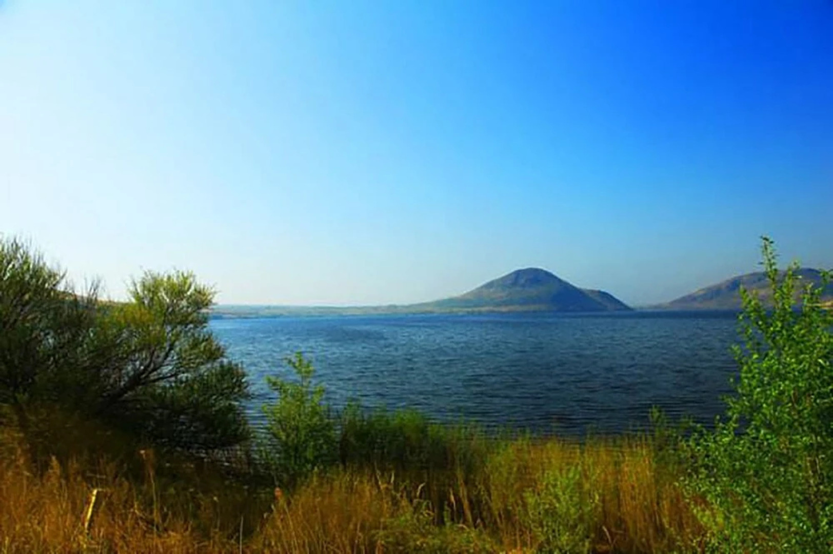 Xilingol Auspicious Horses