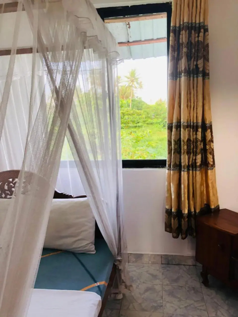 Surf Paradise & Cabana