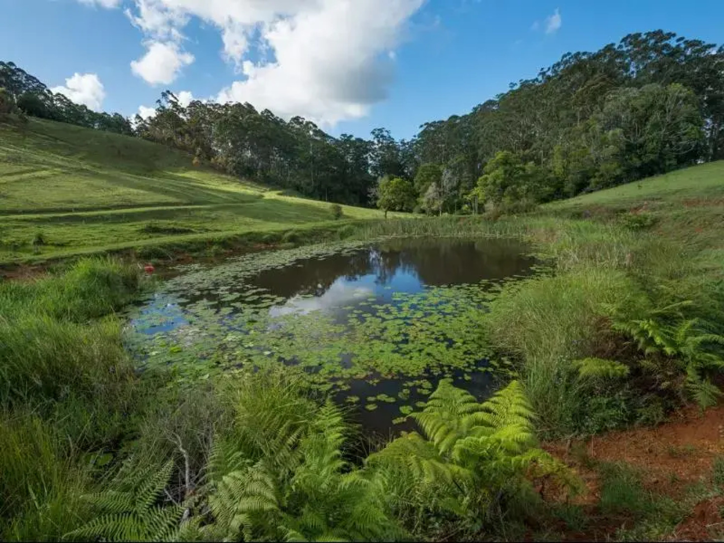 Watersmeet Homestead