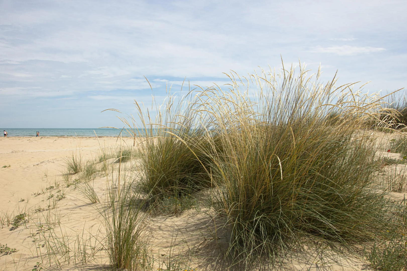 Residenza Excelsior 707