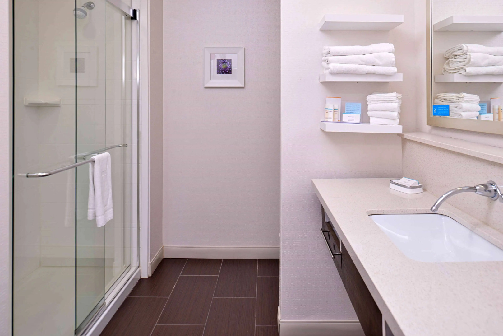 Hampton Inn & Suites Dallas Market Center