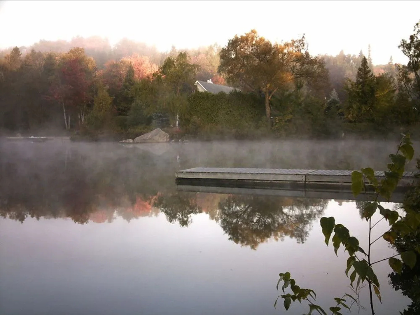 Gîte Pantoufles et Pamplemousse