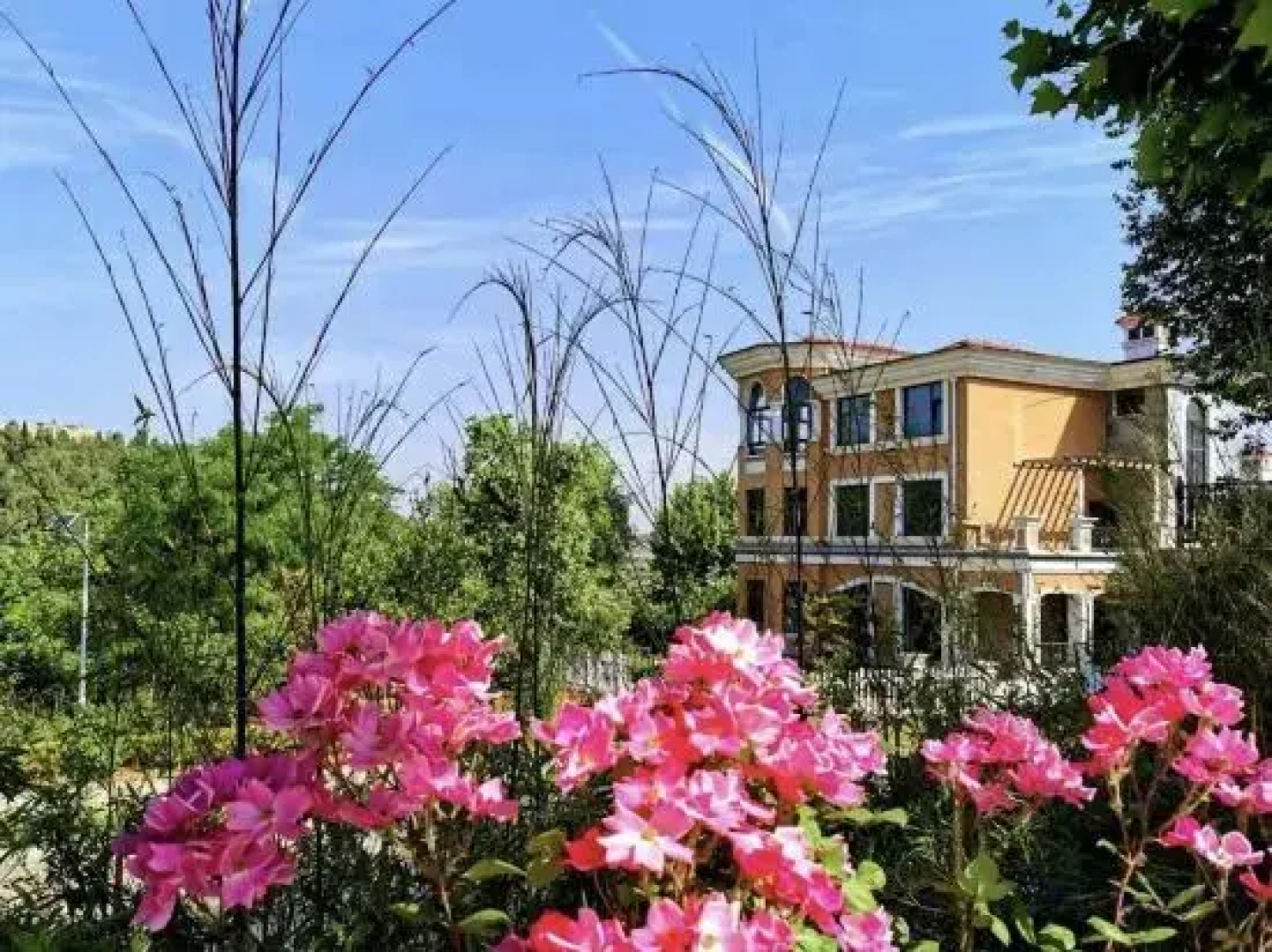 Lidu Holiday Hotel